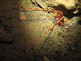 2009-09-09 14-40-11S